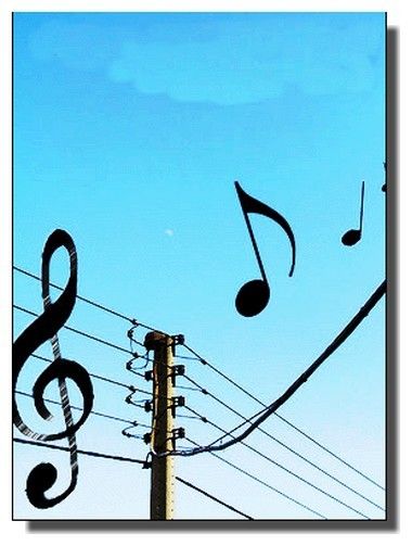 PHOTO MUSIQUE