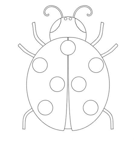 COLORIAGE COCCINELLE