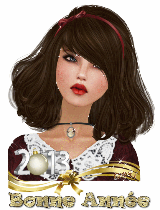 BONNE ANNEE 2013