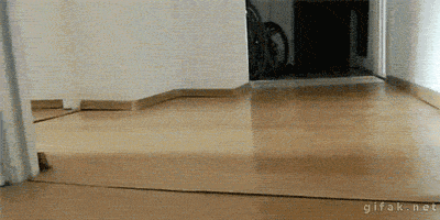 http://coxilanddu26.c.o.pic.centerblog.net/914d568c.gif