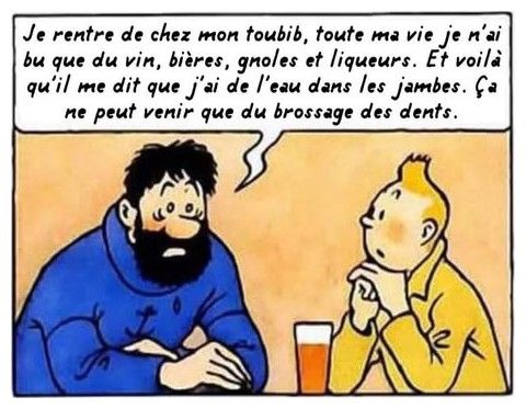 Copie_de_b729256d6721db5eaae2dcb947c232be