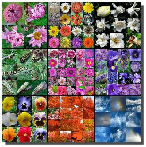 PHOTO MOSAIC
