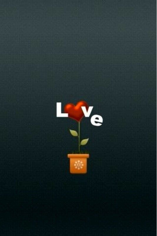 LOVE LOVE