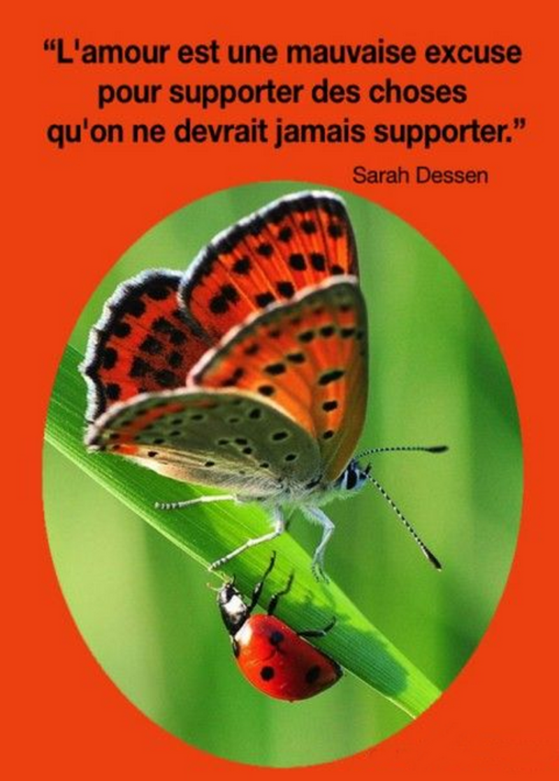 http://coxilanddu26.c.o.pic.centerblog.net/joelle3.png