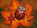COCCINELLES⭐ (6)