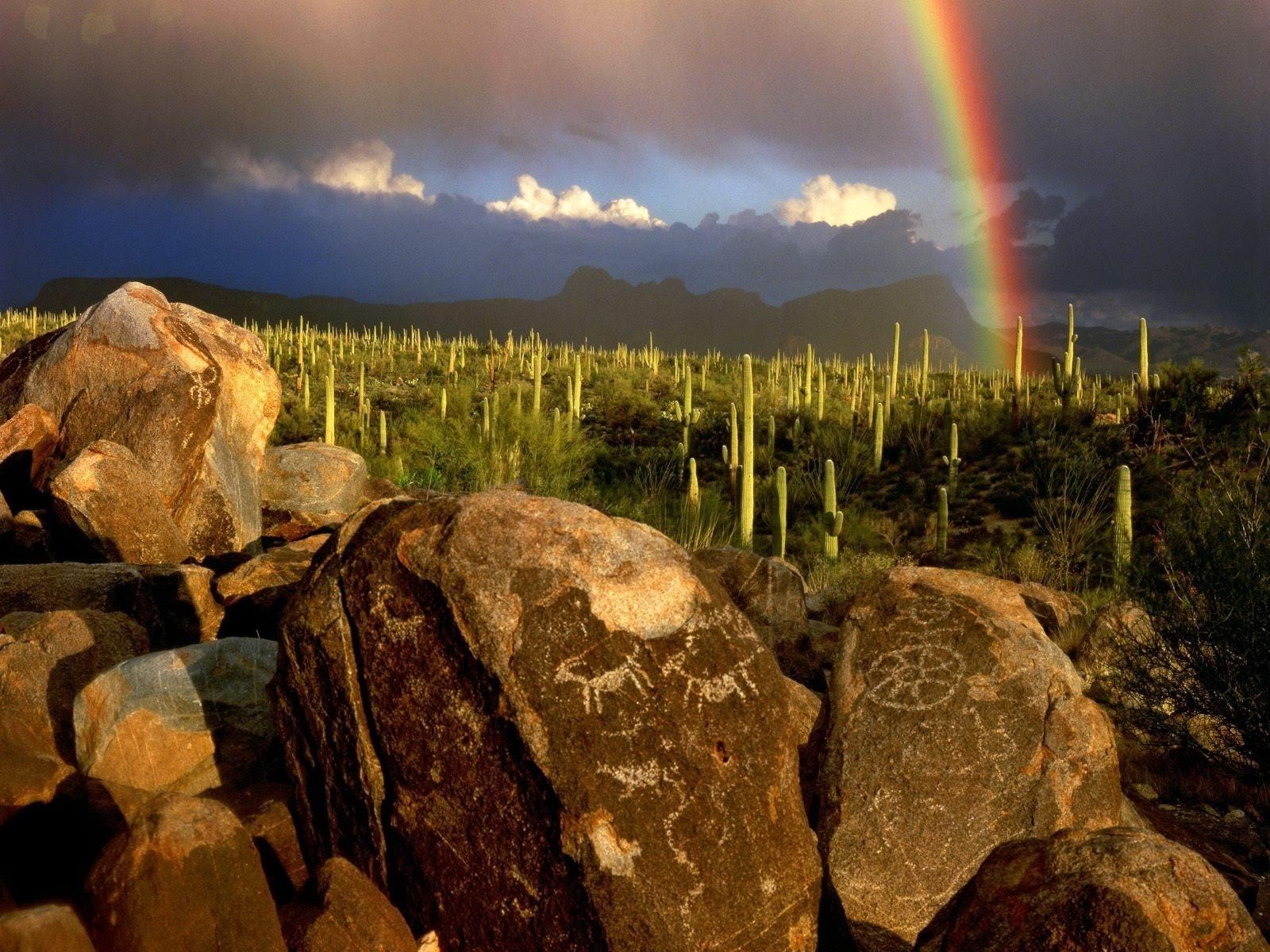 ARC EN CIEL